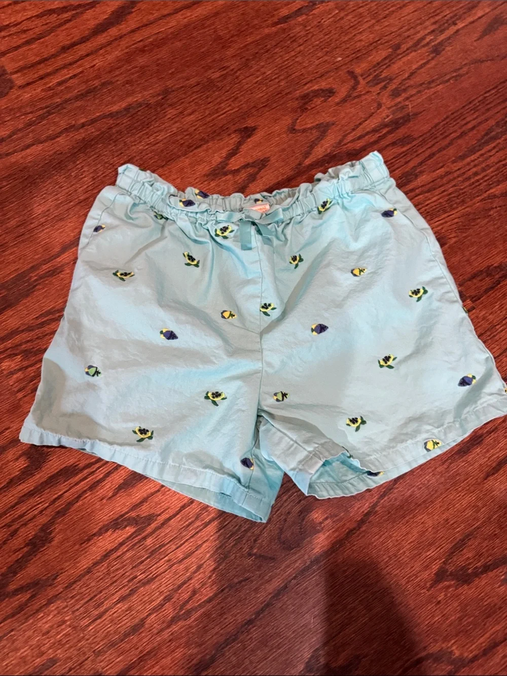 Gymboree Aqua Blue Kids Shorts with Fish & Turtle Multicolor Embroidery size 10